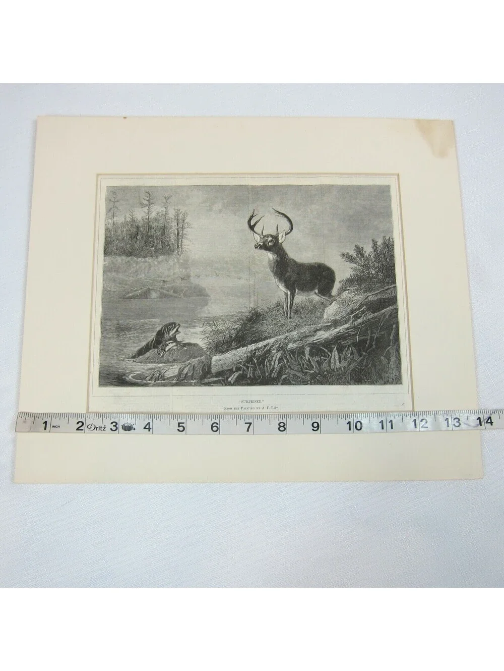 Antique 1800s Lake Deer Stag & Otter Print 